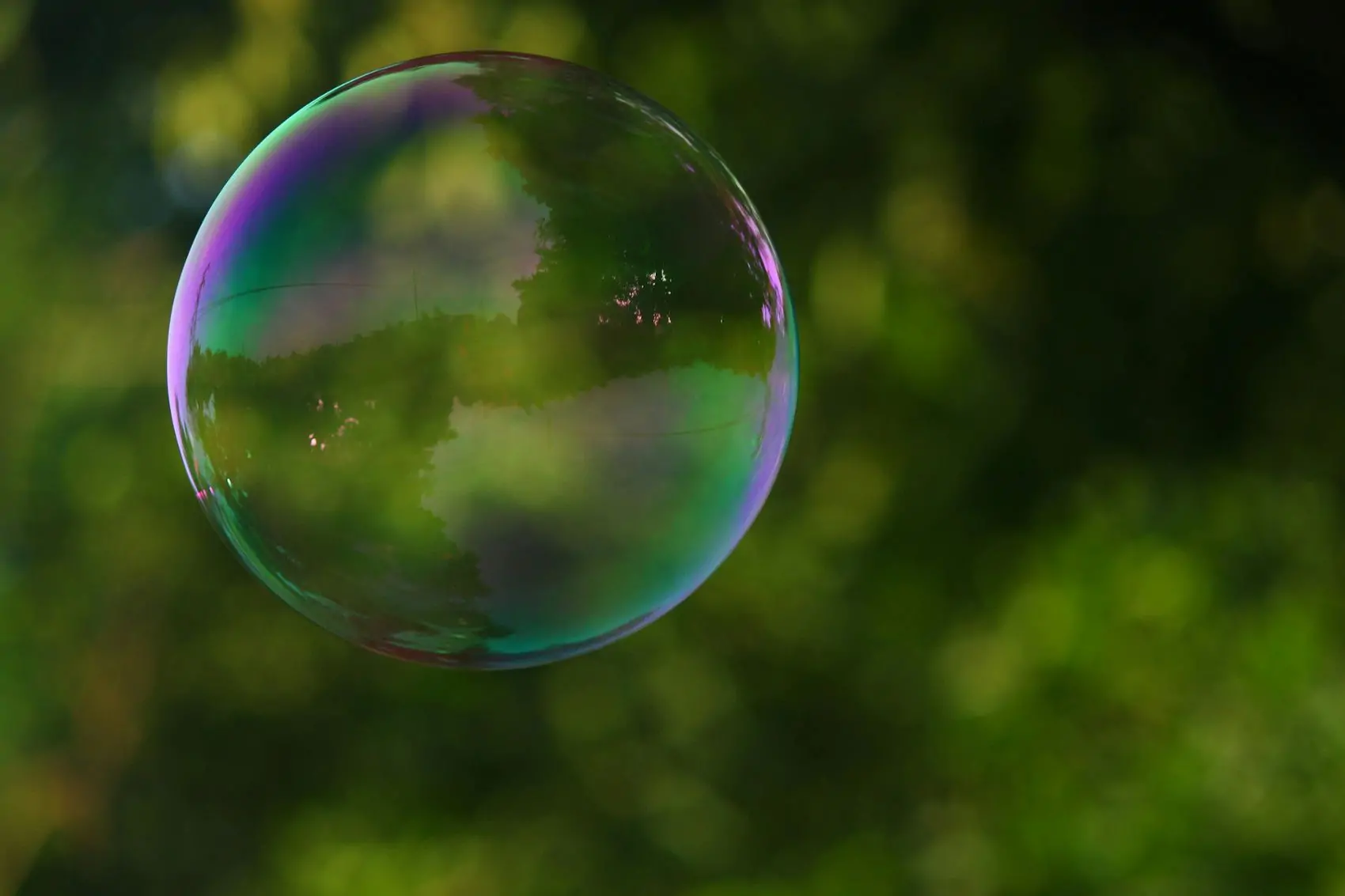 Bulle de sensibilité, illustration douceur et calme