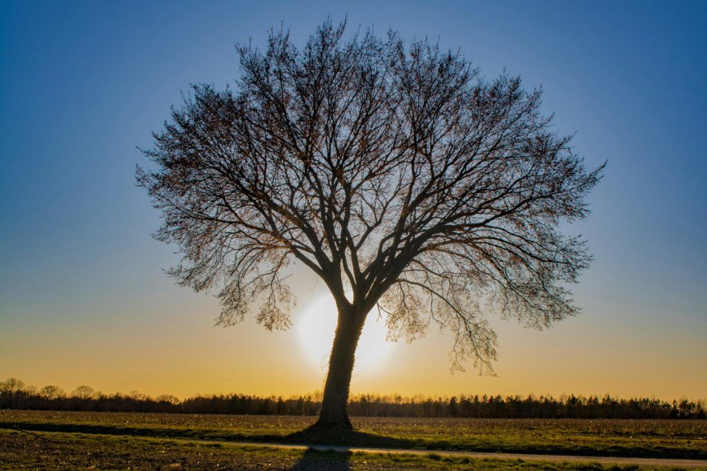 etre un homme hypersensible