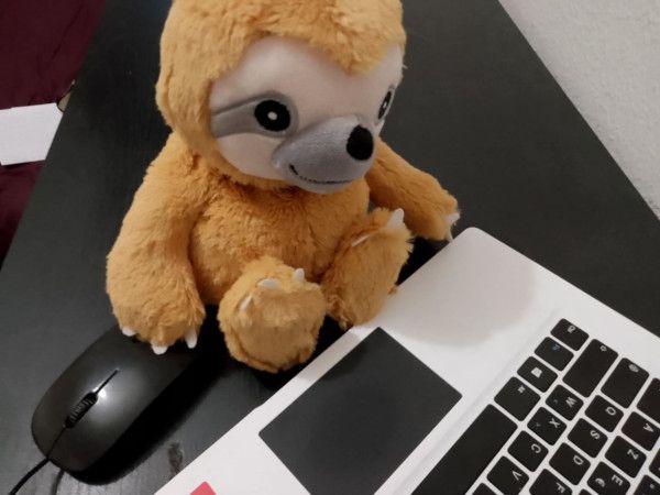 Paresseux arrête de bosser